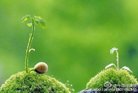 雨水收集利用的科學方法